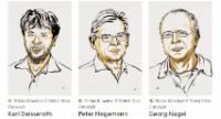 Scientists Win Nobel for Light-Based Brain Study